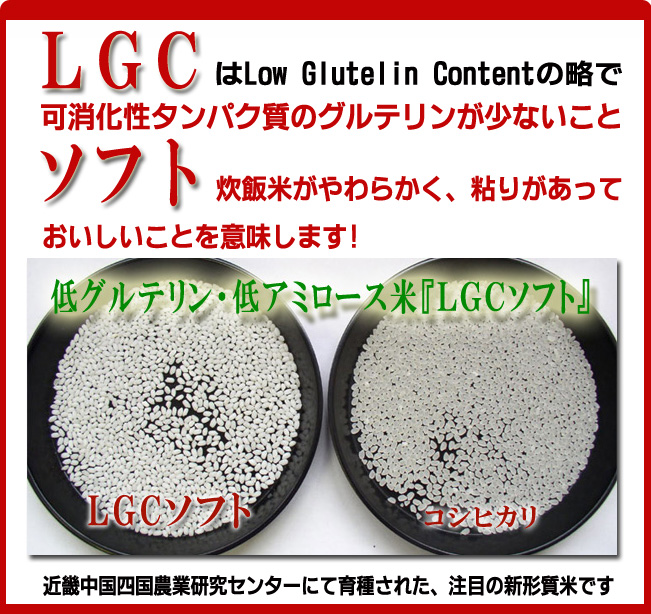 LGC��Low Glutelin Content��ά�ǡ��ľò�������ѥ����Υ���ƥ�󤬾��ʤ����ȡ����եȤϿ����Ƥ����餫����Ǵ�꤬���äƤ����������Ȥ��̣���ޤ�
